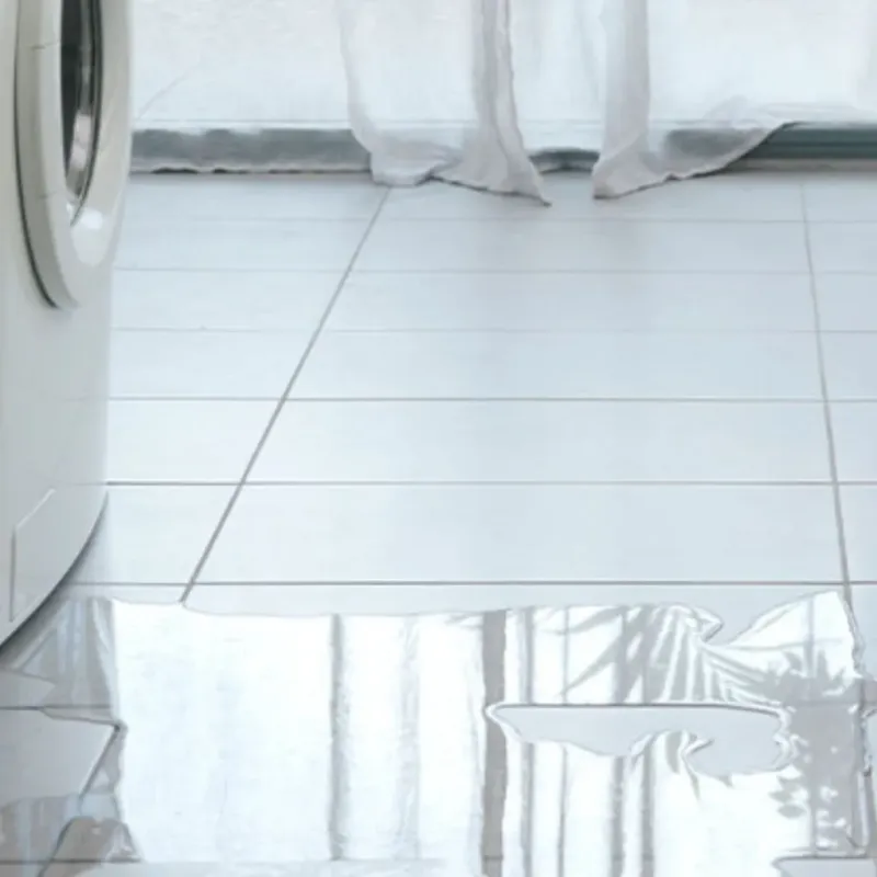 Appliance Leak Cleanup in Felida, WA